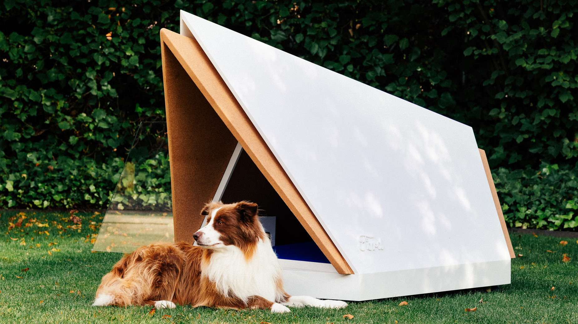 Ford designs noise-cancelling kennel to help dogs scared of fireworks