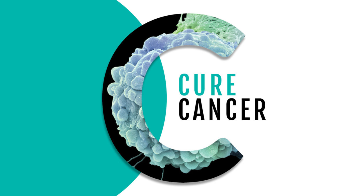 Cure For Cancer 2019 News Complete Cure That Works Like An Antibiotic May Be Ready Within A Year