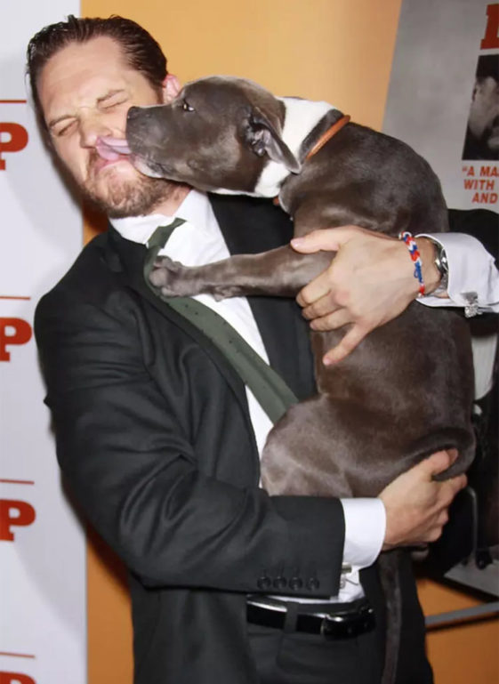 Adorable Pictures Of Tom Hardy With His Dogs To Bless Your Feed Once Again