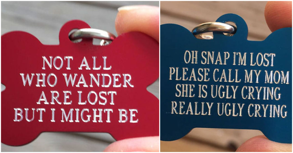 Snarky Name Tags Every Dog Owner Will Love