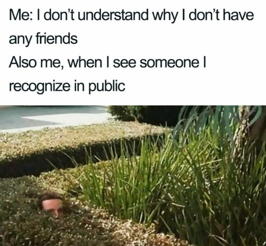 35 Of The Funniest Introvert Memes (New Pics)