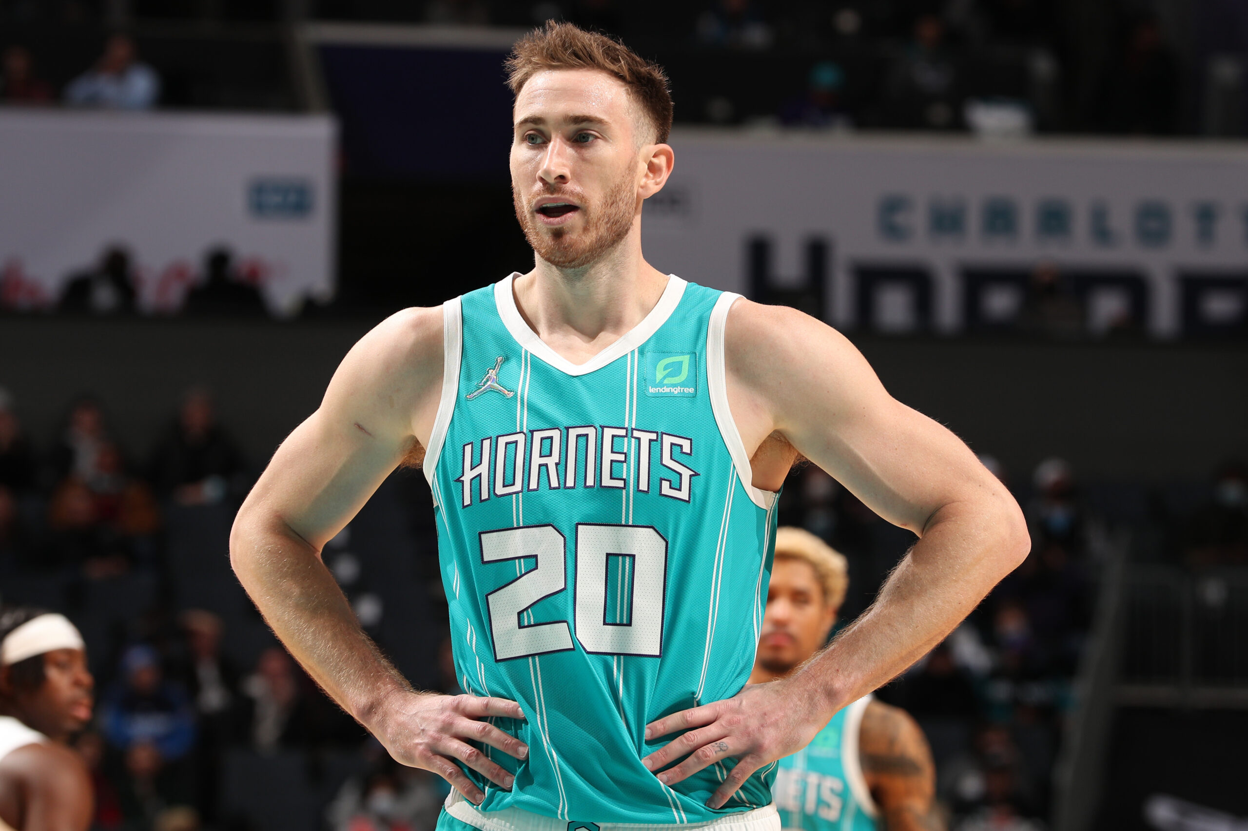 Gordon Hayward, Hornets' Gordon Hayward To The Timberwolves Trade In Proposal