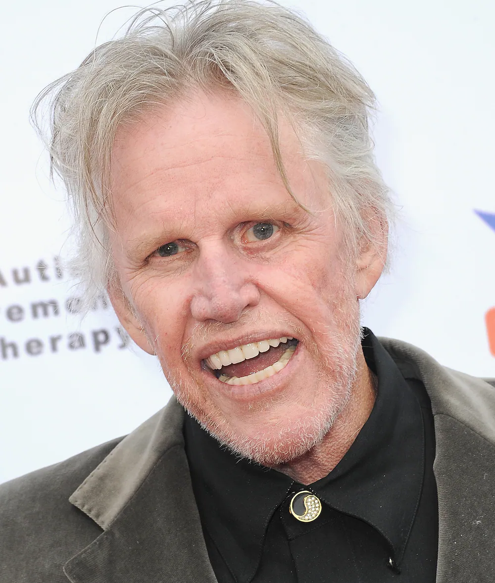 Gary Busey Net Worth: What Happened To The Actor’s Fortune?