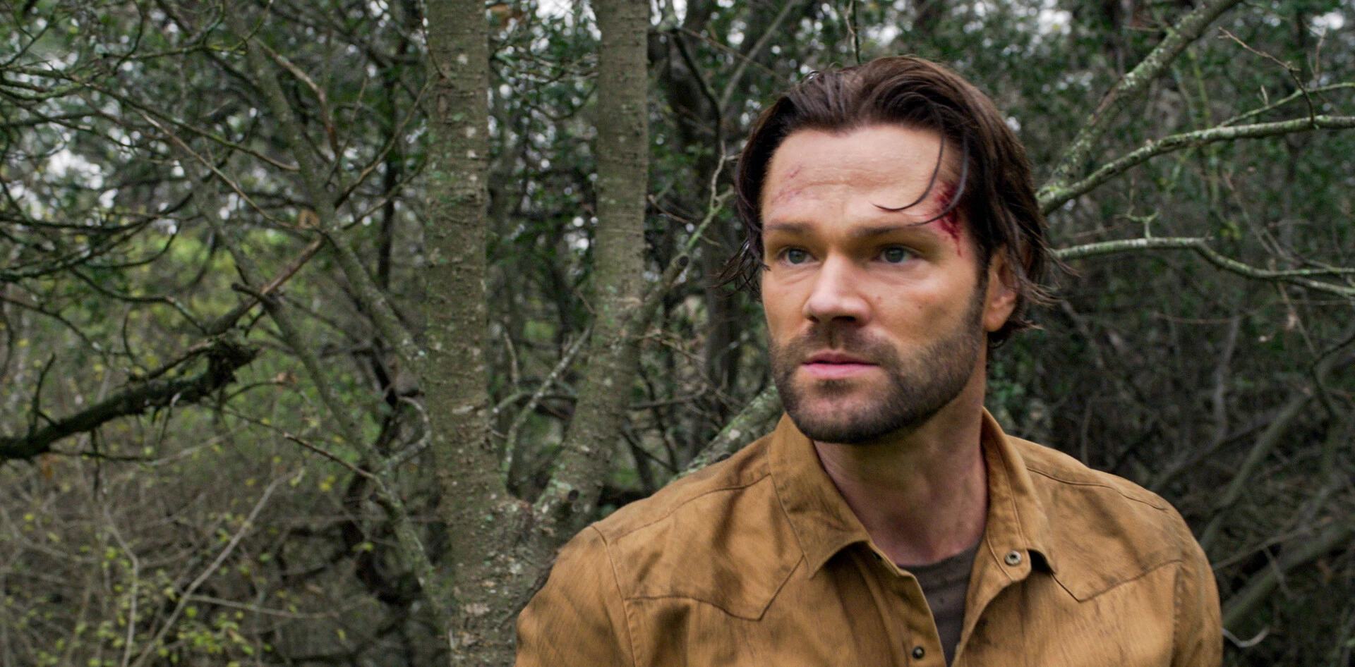 Is Walker Coming Back? Everything You Need to Know About the Uncertain Future of Season 4