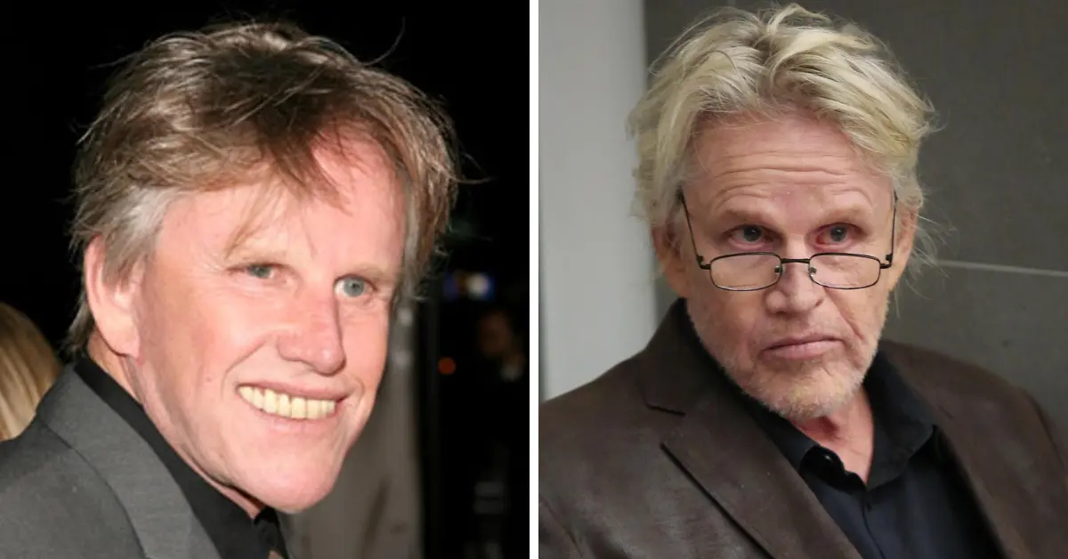 Gary Busey Net Worth: What Happened To The Actor’s Fortune?