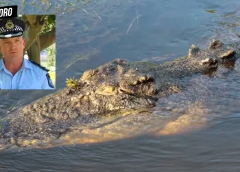 Queensland man, crocodile river