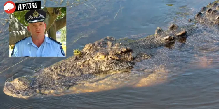 Queensland man, crocodile river