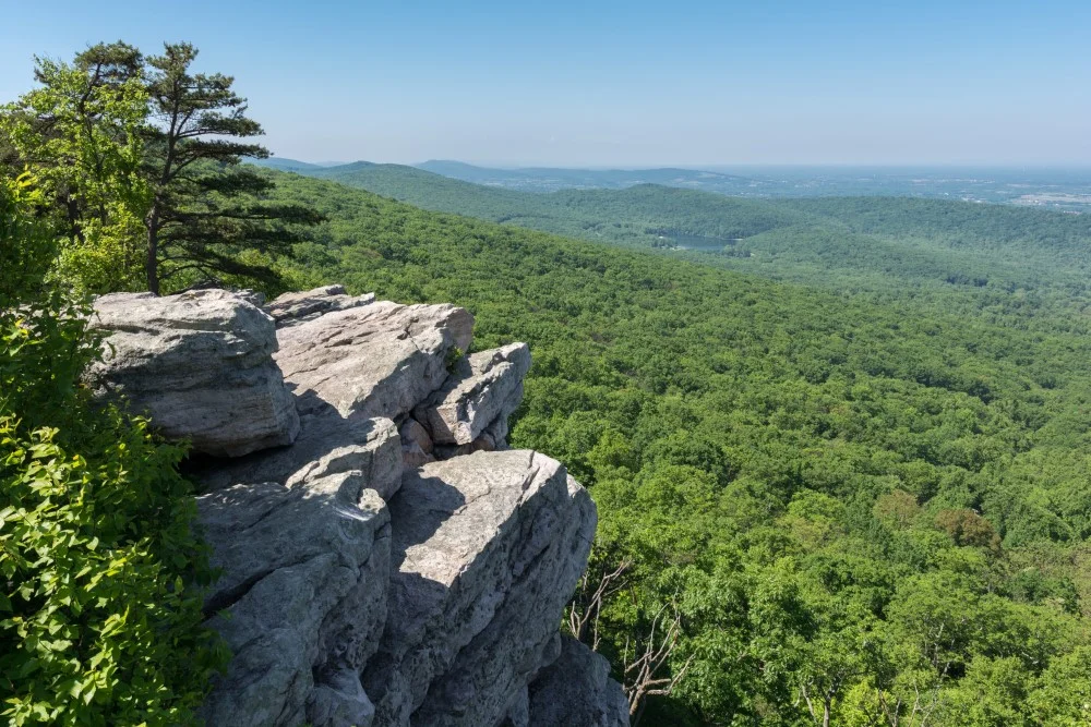 Exploring 'Please Don’t Destroy: The Treasure of Foggy Mountain' – A Peek into Filming and Production