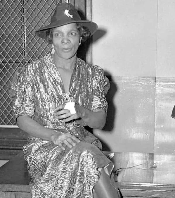 Mayme Hatcher Johnson Biography Author and Harlem Gangster Bumpy