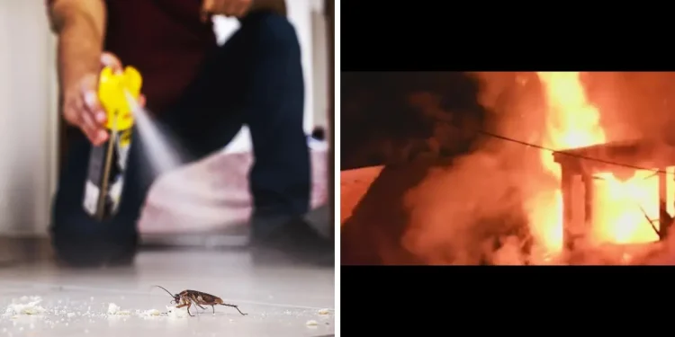 Man Blows Up His Apartment Trying To Kill Cockroach With Insecticide