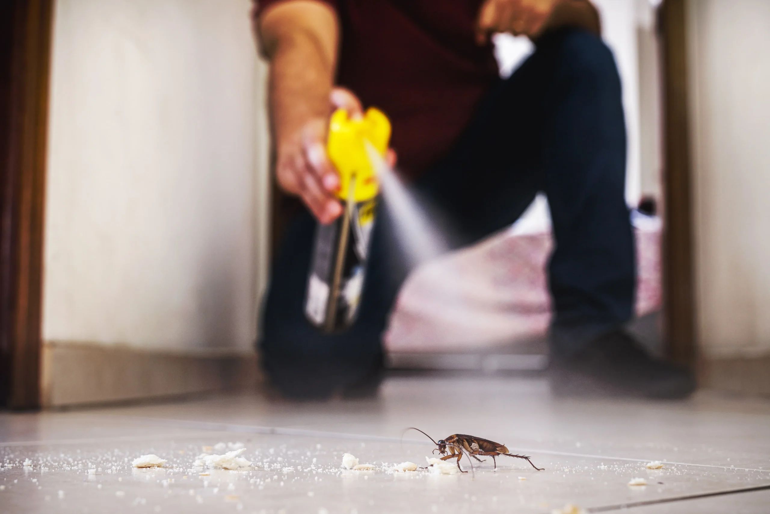 Man Blows Up His Apartment Trying To Kill Cockroach With Insecticide