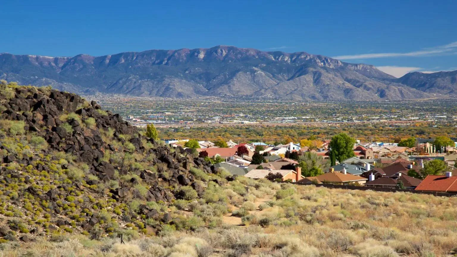 Frybread Face and Me: A Heartfelt Coming-of-Age Story Set Against the Arizona Backdrop