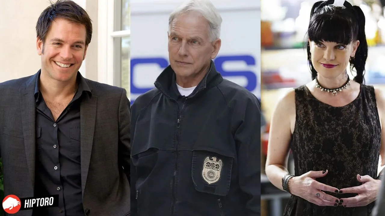 NCIS's Fan Favorite Michael Weatherly to Return as Tony DiNozzo? Actor