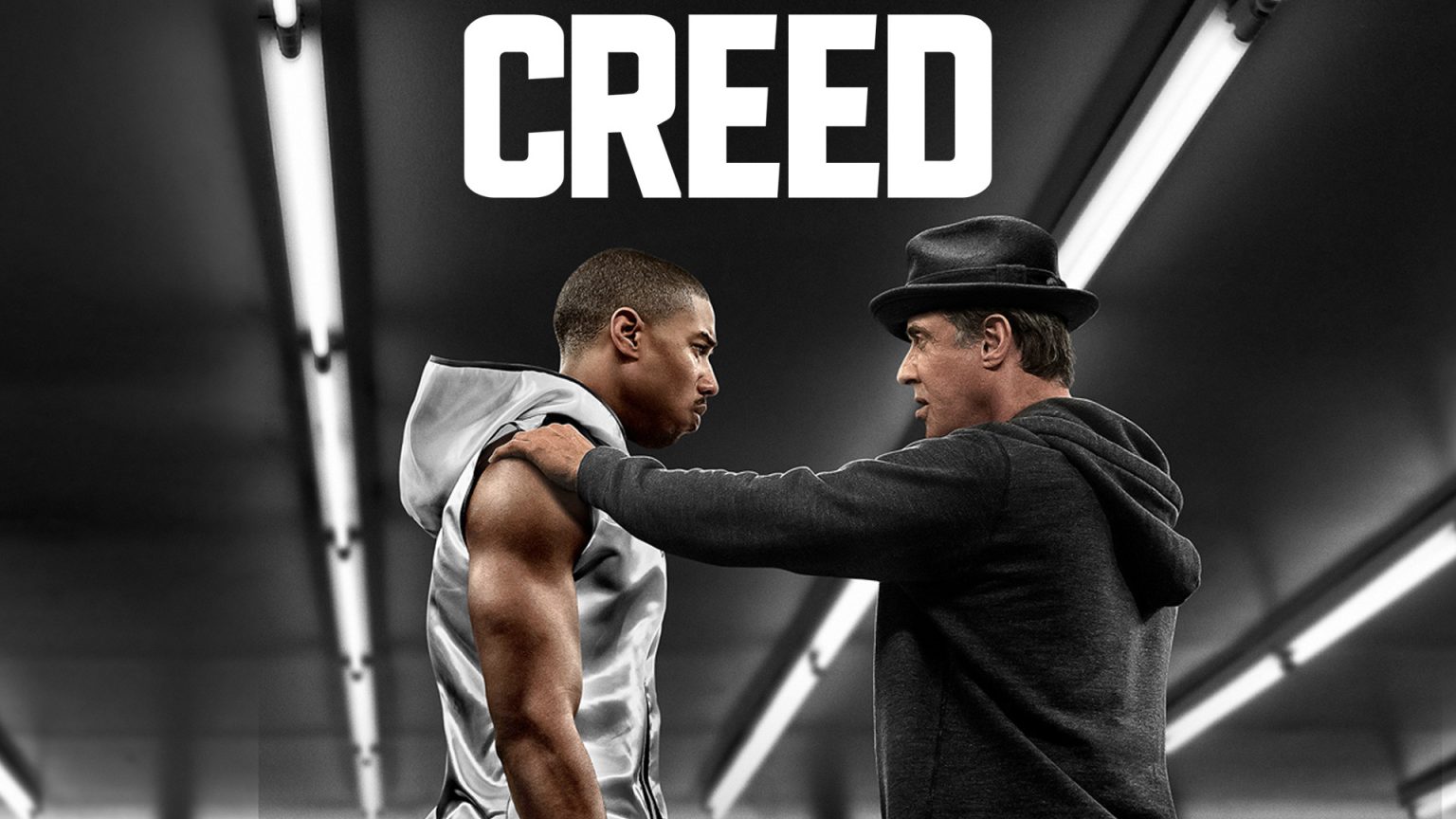 Will Sylvester Stallone Return In Michael B Jordans Creed 4 Release