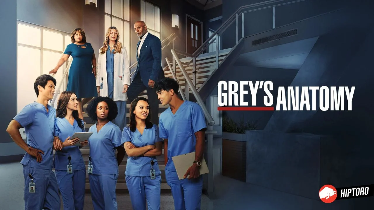 Grey's Anatomy Season 20 Promises Big Drama! Release Date, Cast, Plot