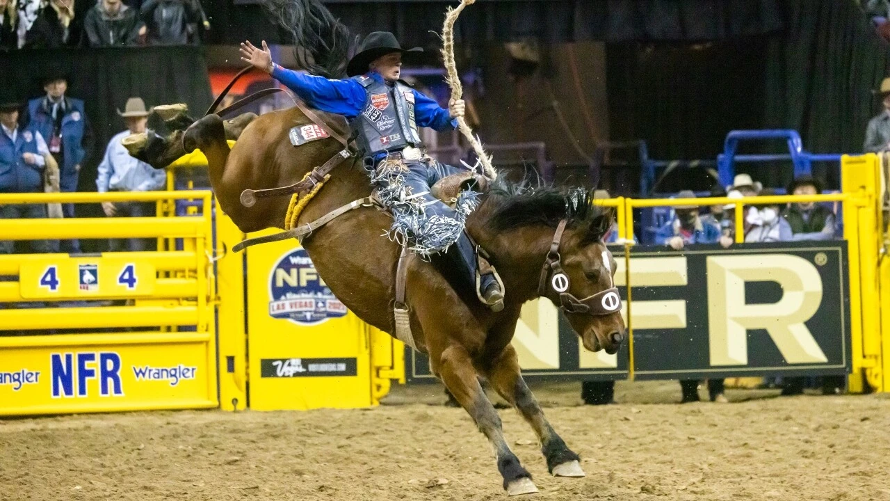 Stetson Wright, professional rodeo