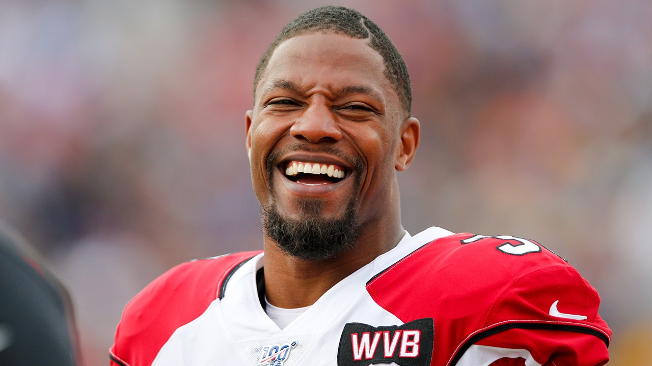 NFL News: David Johnson’s Stellar Career Comes To A Graceful End, A Look At His Journey