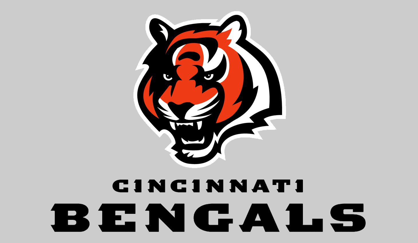 NFL News: How Will the Cincinnati Bengals Address the Concerns Raised by the NFL Analyst in 2024?