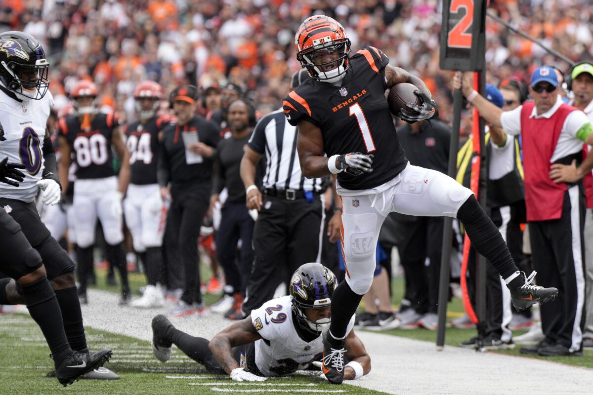  Tee Higgins Stirs NFL Buzz Will He Stay with Bengals or Move On