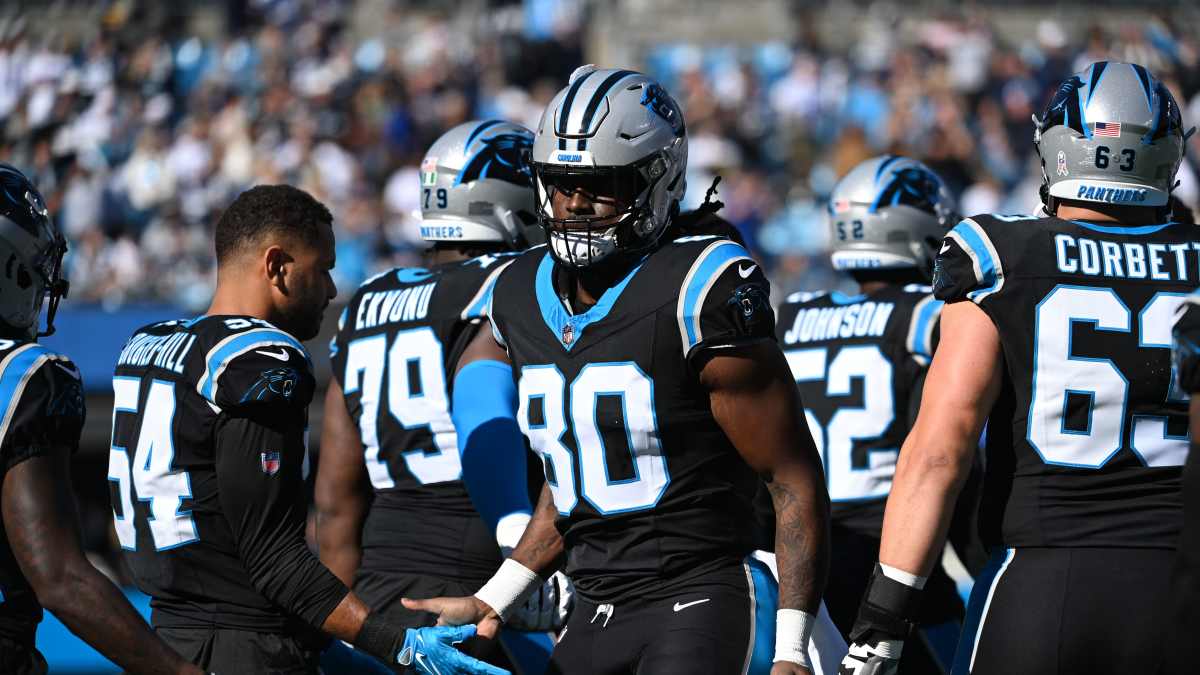  Carolina Panthers Plan Major Stadium Revamp Will New Upgrades Turn the Tide for the Struggling Team-