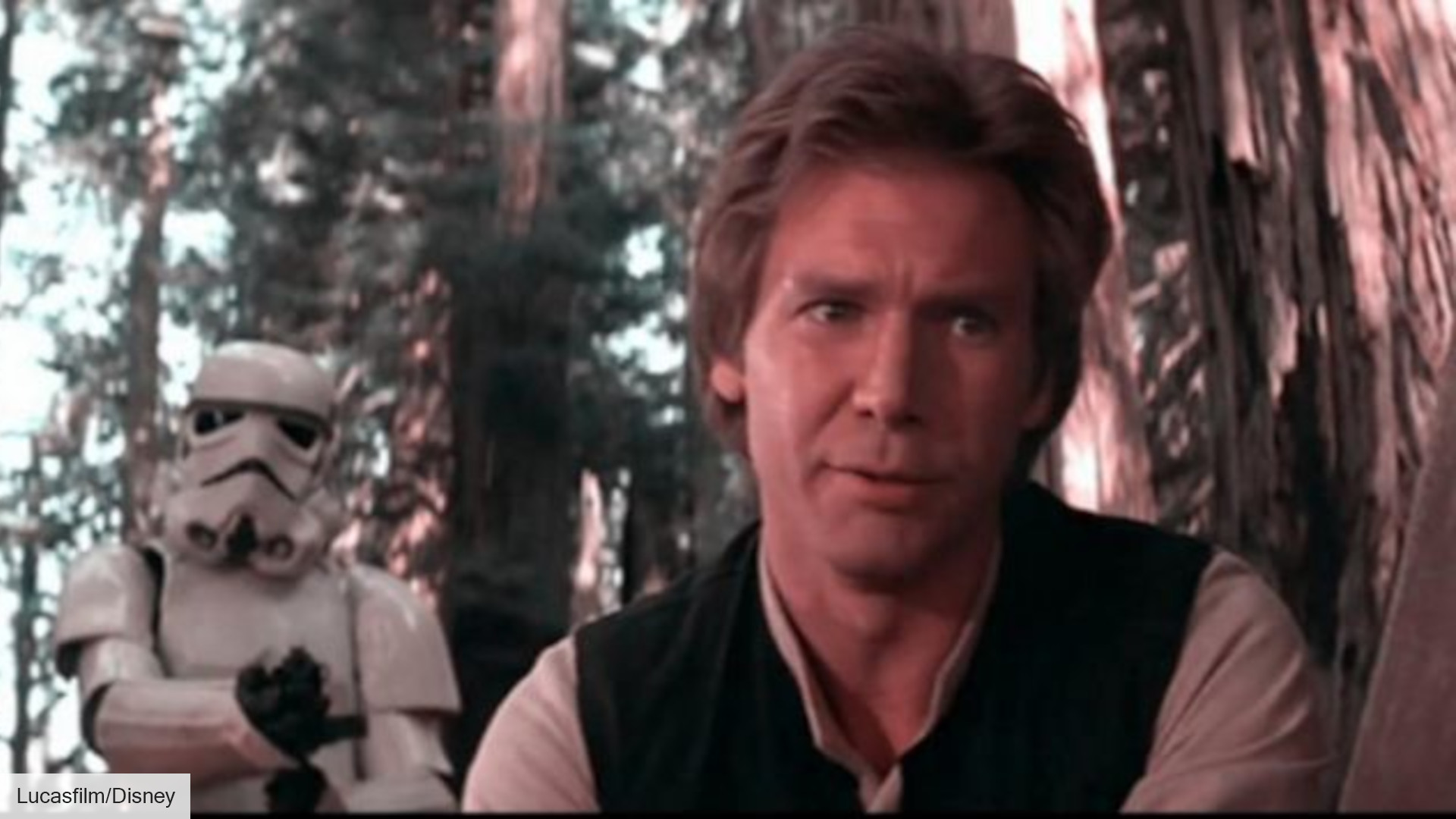 Harrison Ford’s Unexpected Career Choice: How a Carpentry Job Nearly Kept Him Out of George Lucas’s Breakout Film