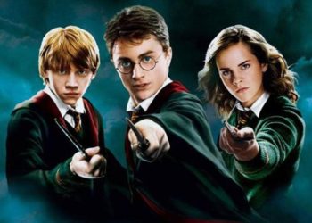 Why Harry Potter Fans Are Still Upset About the Final Battle Scene in the Movies: What Was Missing Compared to the Book?