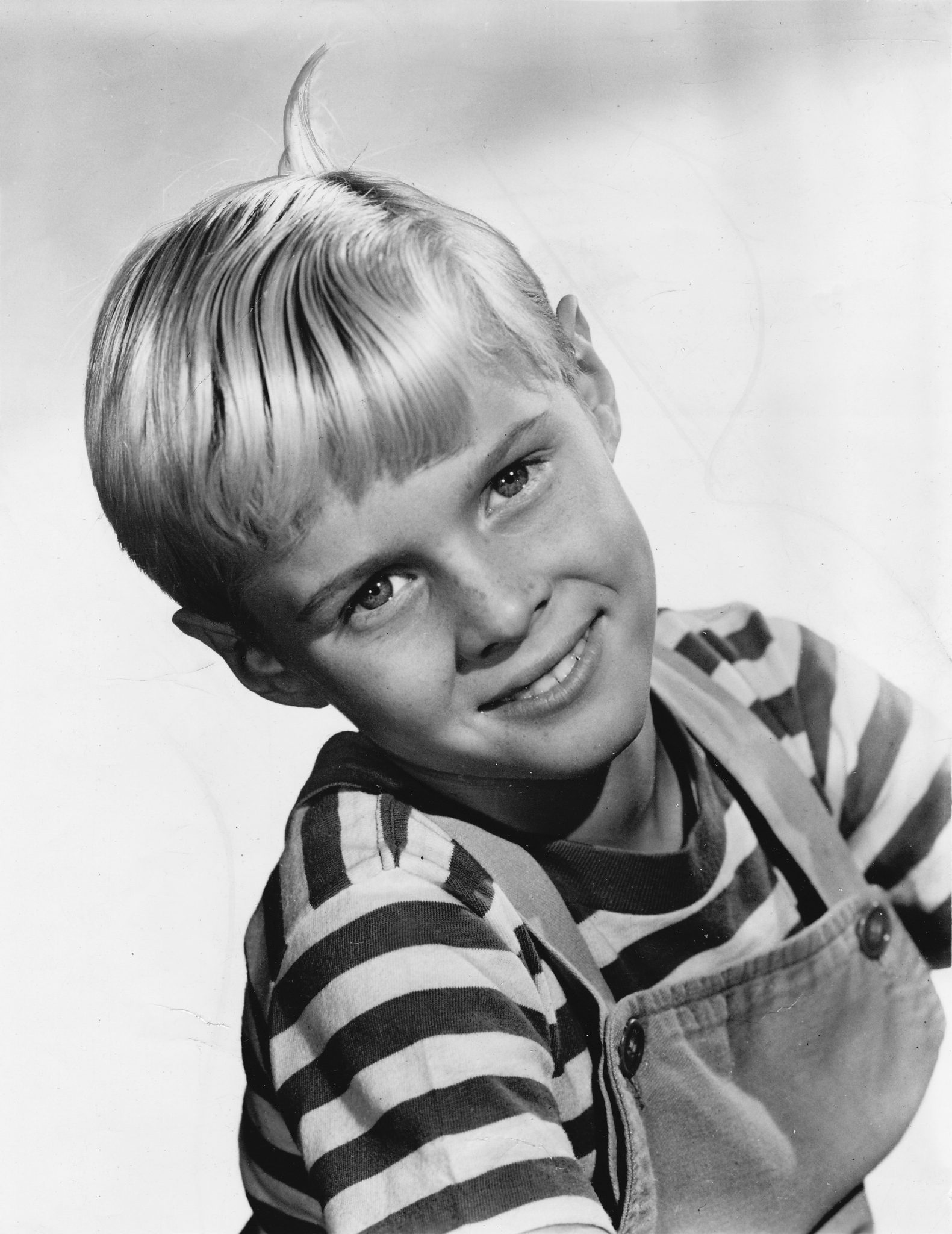 Who is Jay North? All About The 'Dennis the Menace' Actor